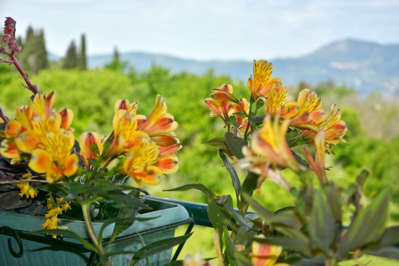 Corfu Seaty Apartment Potamos  ภายนอก รูปภาพ